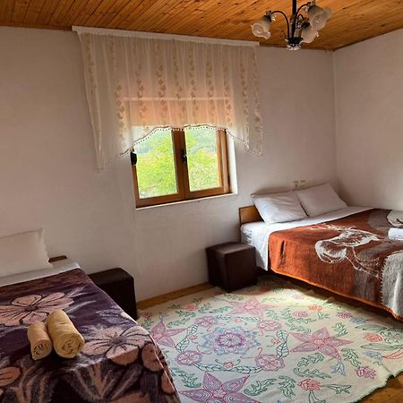 Prespa'S Balcony Guesthouse Dolna Gorica Dış mekan fotoğraf