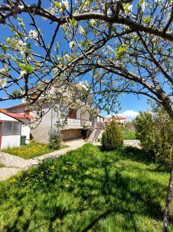 Prespa'S Balcony Guesthouse Dolna Gorica Dış mekan fotoğraf
