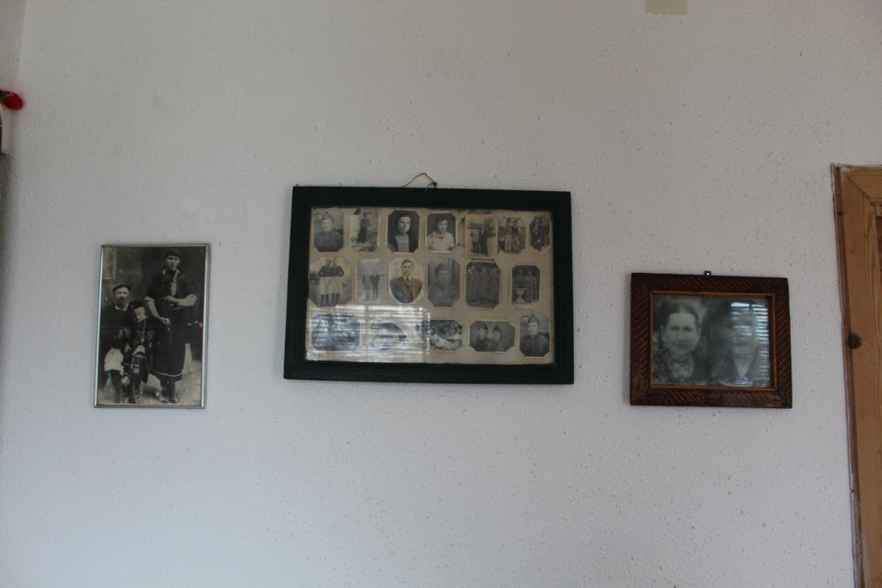Prespa'S Balcony Guesthouse Dolna Gorica Dış mekan fotoğraf