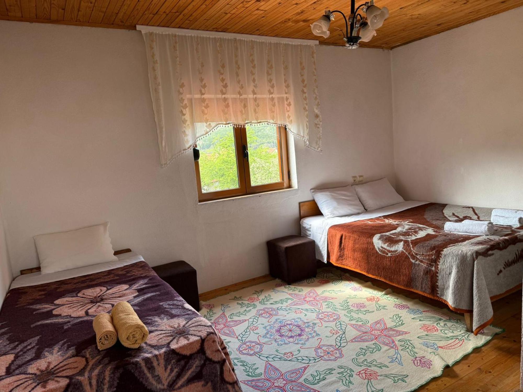 Prespa'S Balcony Guesthouse Dolna Gorica Dış mekan fotoğraf