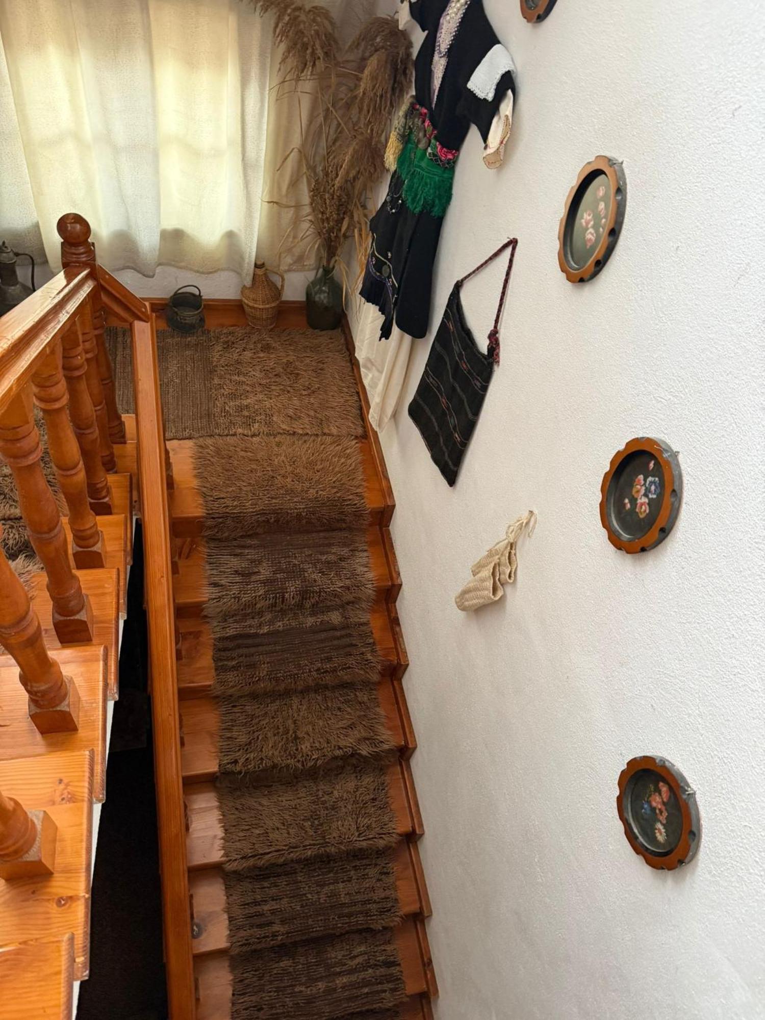 Prespa'S Balcony Guesthouse Dolna Gorica Dış mekan fotoğraf